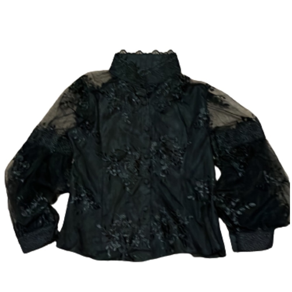 Black sheer and embroidered long sleeve high neck top size S - Picture 2 of 7